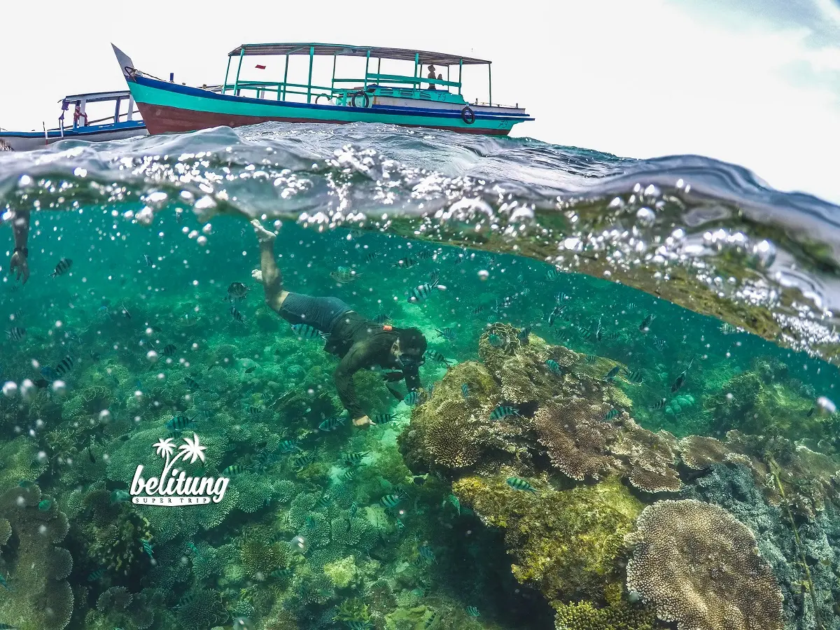 Snorkeling di Pantai Belitung