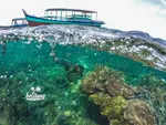Snorkeling di Pantai Belitung